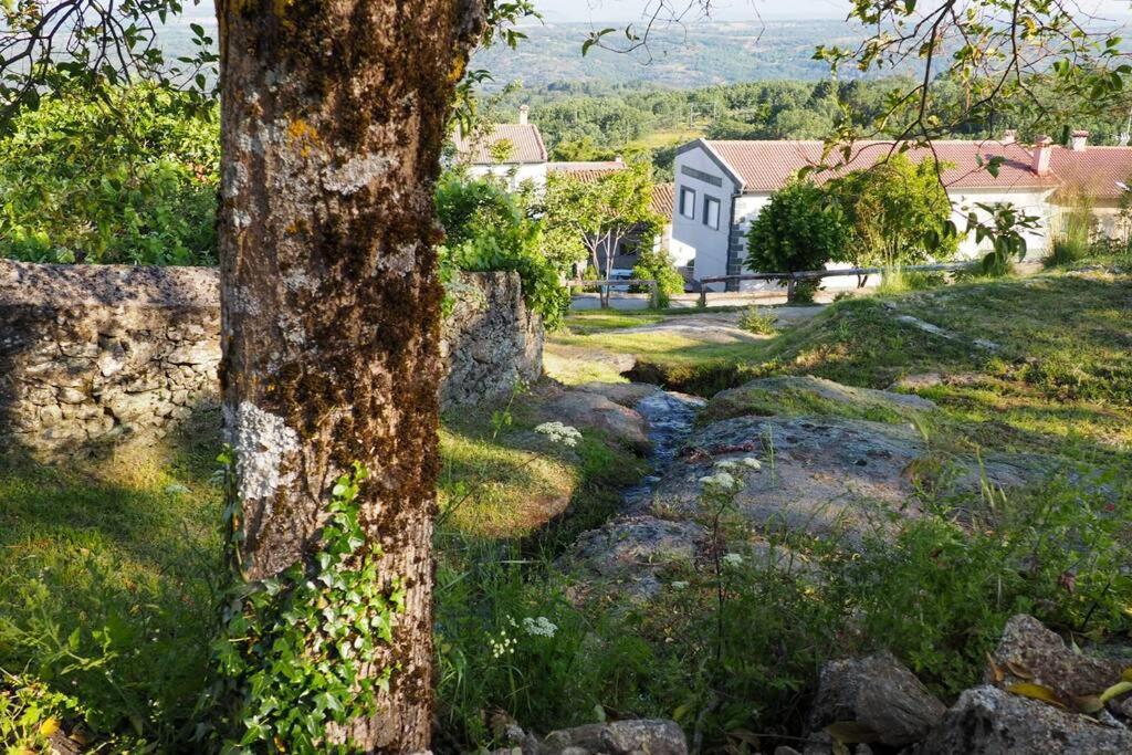 Апартаменти El Bosque De Los Romanos Puerto de Bejar Екстер'єр фото